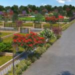 Central Park Mikasa Plots