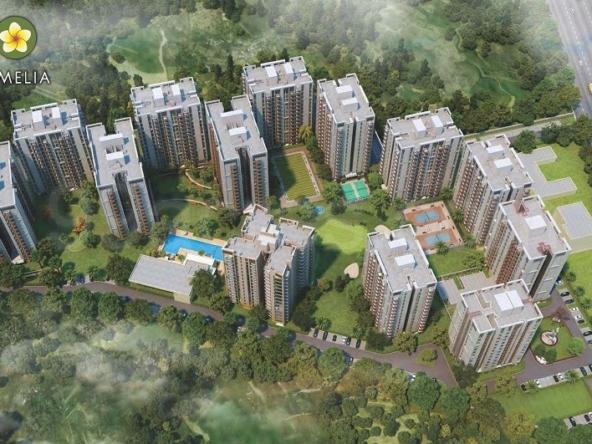 Silverglades - The Melias