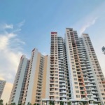 Shapoorji Pallonji The Dualis