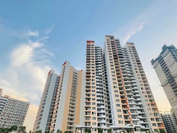 Shapoorji Pallonji The Dualis