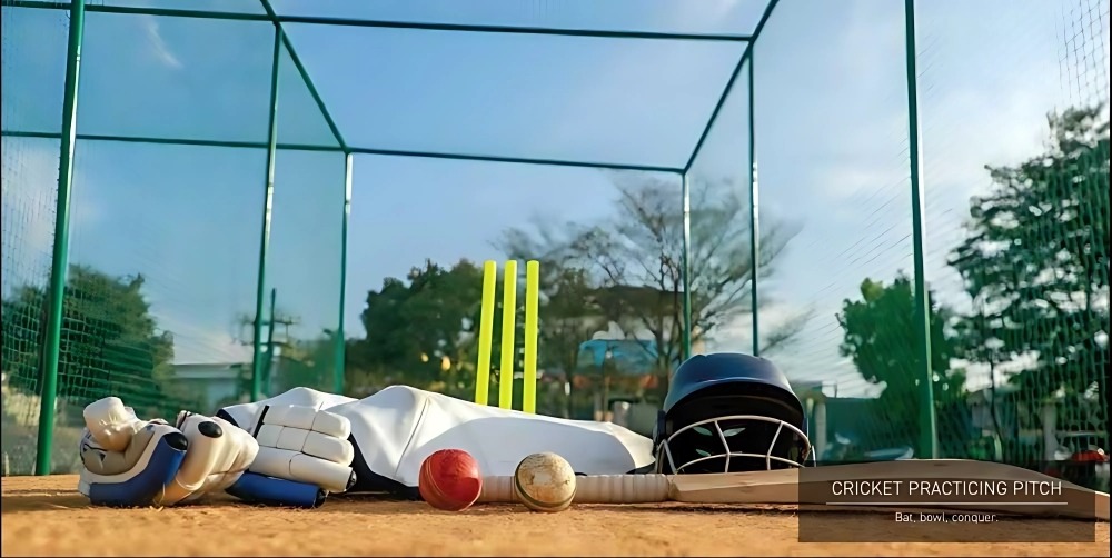 Cricket Practicing Court