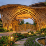 baansera DDA develop